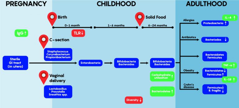 4-1-the-gut-microbiome-and-its-impact-on-the-brain-neuroscience